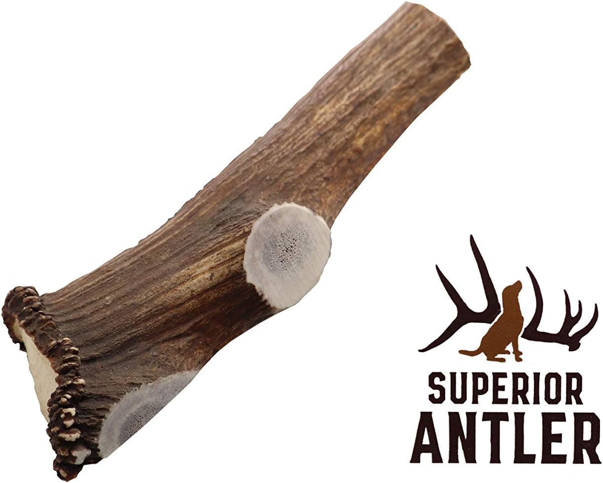Jumbo-Elk-Antler-Split-for-Dogs-–XXL-G-1374