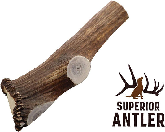 Jumbo-Elk-Antler-Split-for-Dogs-–XXL-G-1374