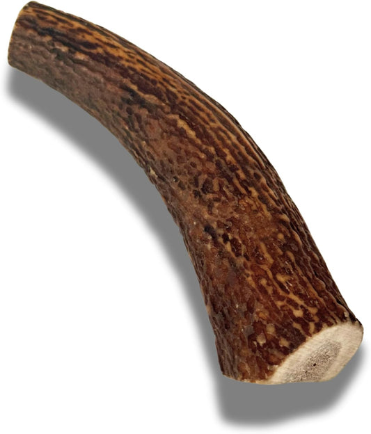 Deer-Antlers-for-Dogs---(Thick-Medium--1-Pack)-101