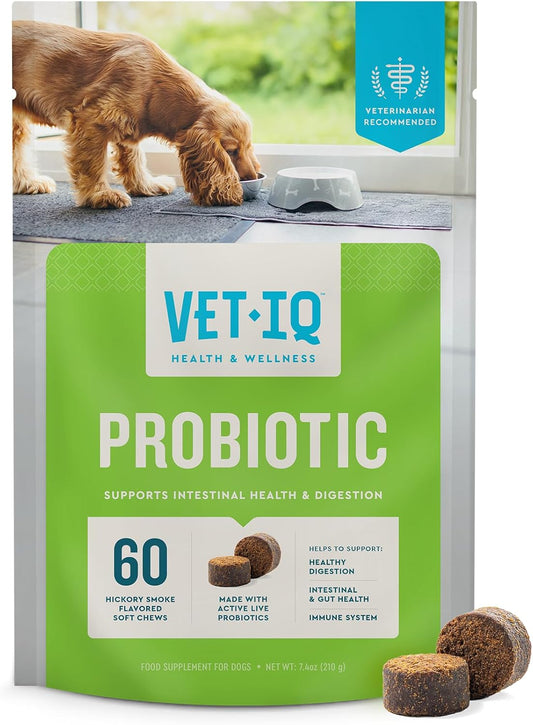 VetIQ-Probiotic-Supplement-for-Dogs,-Digestive-Support-for-Dogs,-Nourishes-Gut-and-505