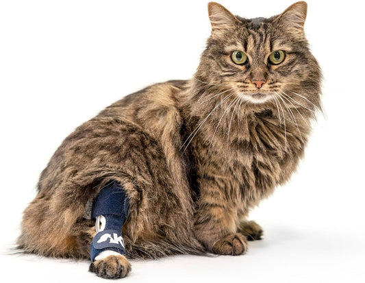 Feline-Hock-Brace-–-Cat-Ankle-Brace-–-Brace-with-Aluminum-Splints-–-461