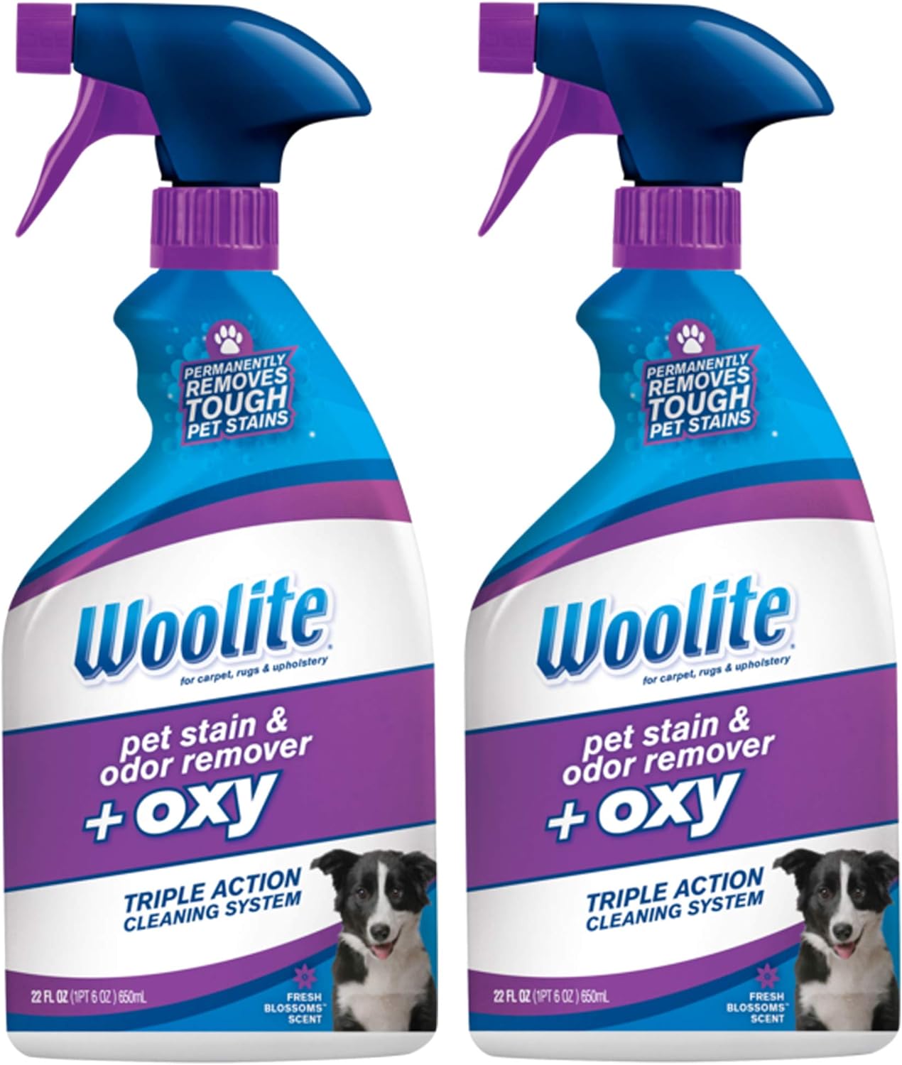 Woolite-Pet-Stain-and-Odor-Plus-Oxy,-22oz-(Pack-of-2),-2834-747