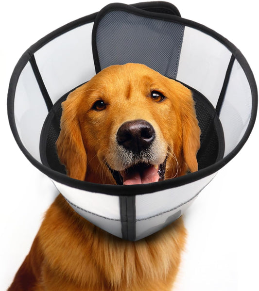 Soft-Dog-Cone-Collar-for-Dogs-After-Surgery,-Transparent-Breathable-Pet-Collar-185