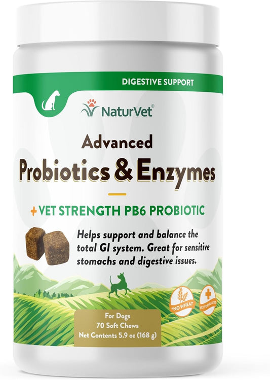 NaturVet-Advanced-Probiotics-&-Enzymes,-PB6-Dog-Soft-Chews-to-Help-Stomachs-437