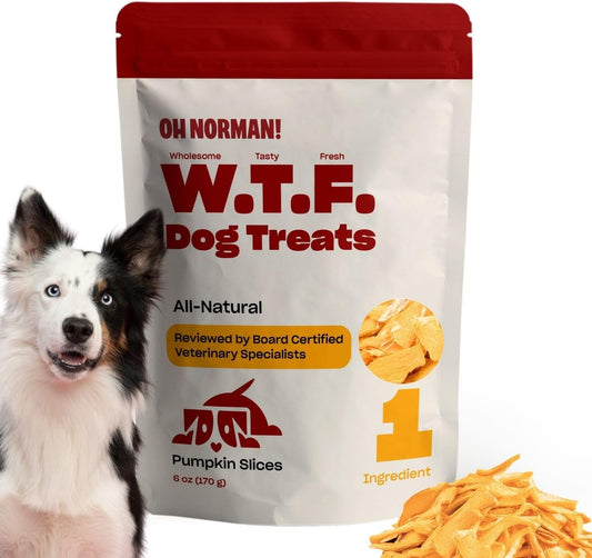 Single-Ingredient-Pumpkin-Dog-Treats-by-Kaley-Cuoco,-3341