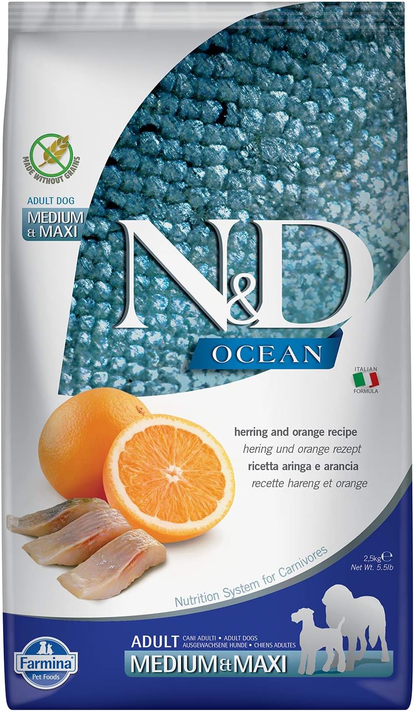 Herring-&-Orange-Adult-Medium-&-Maxi---173