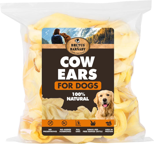 BRUTUS-&-BARNABY-Cow-Ears-for-Dogs-–-Whole-Ears-12-Thick-2584