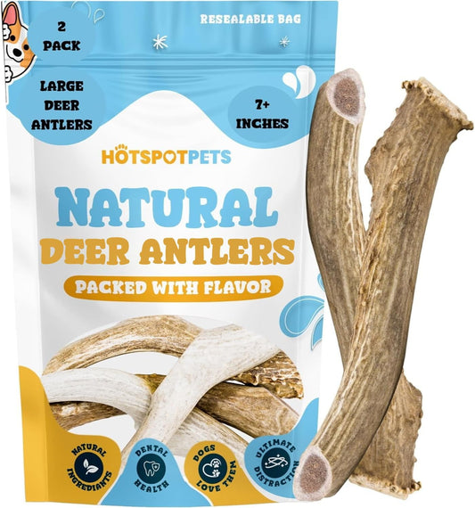 hotspot-pets-Premium-Deer-Antlers-for-Dogs---7+-Inch-Large-Dog-1390
