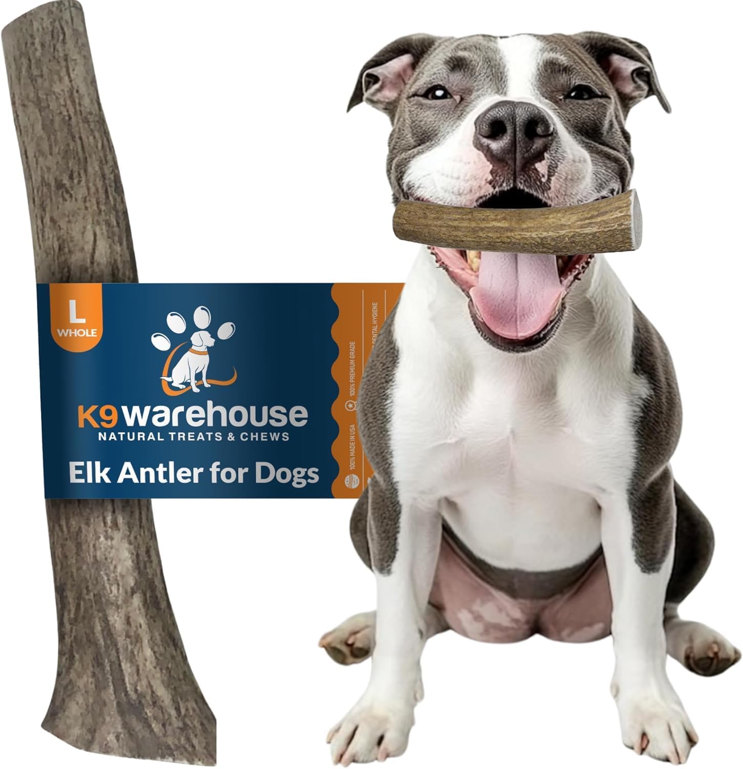 Natural-Elk-Antlers-for-Dogs---Premium-Grade-858