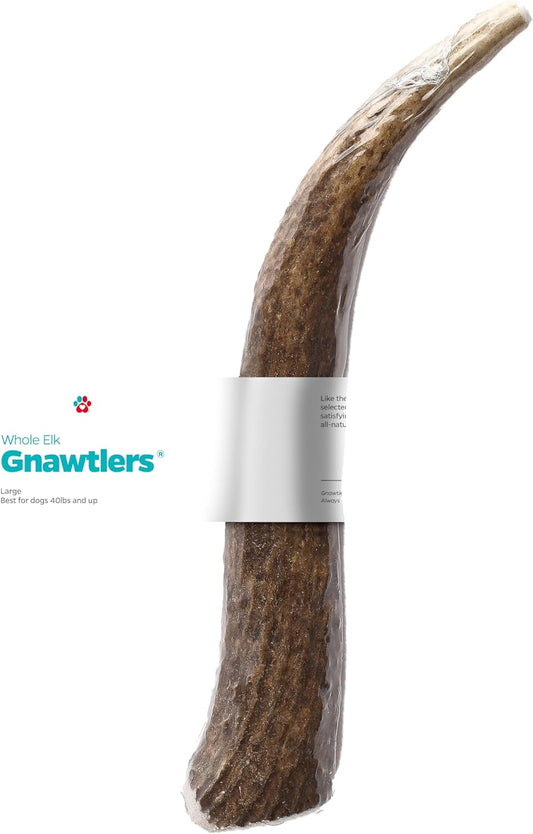 Pet-Parents-Gnawtlers---Premium-Naturally-Shed-Elk-Antlers-for-Dogs,-Natural-642