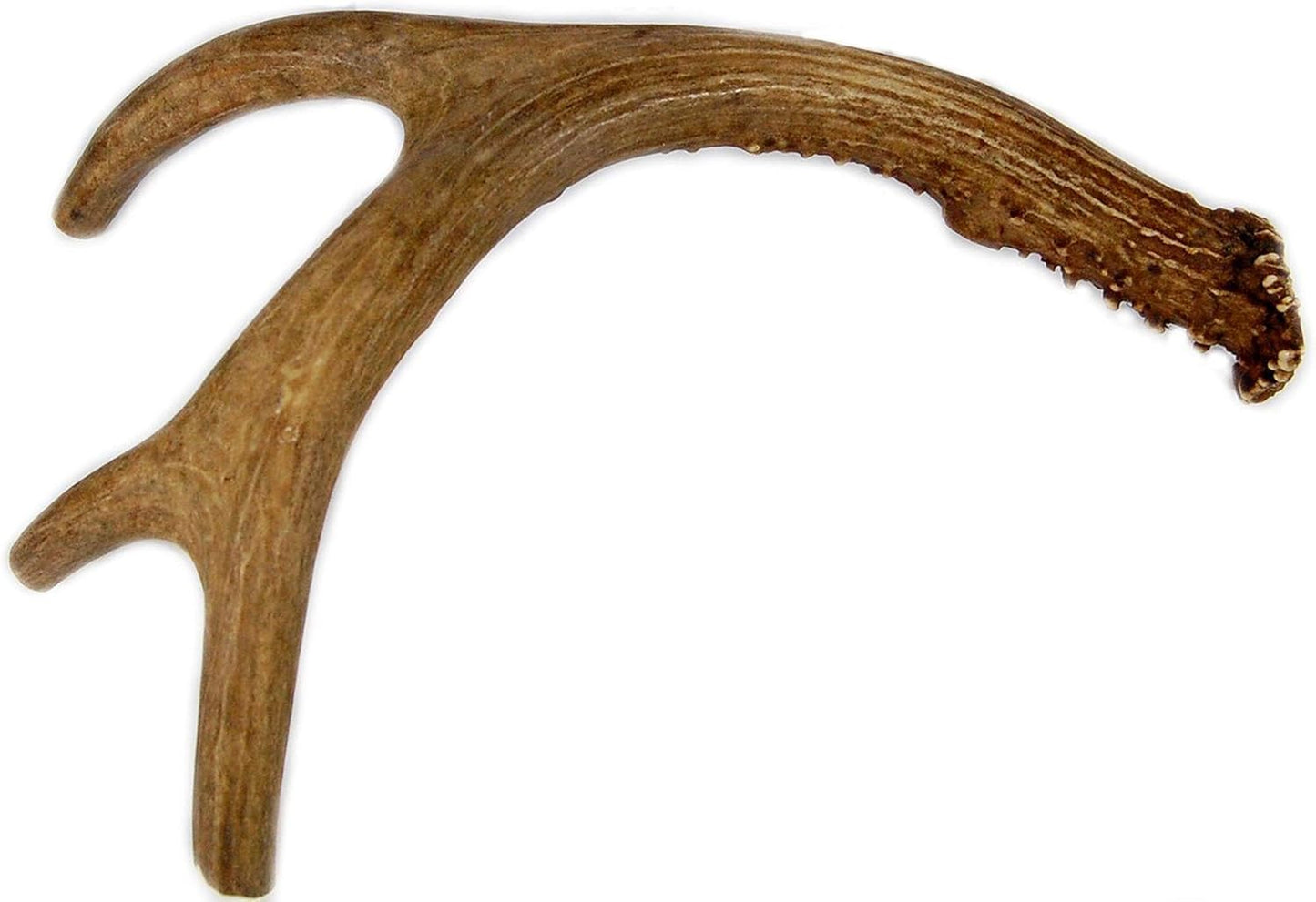 Big-Dog-Antler-Chews---Deer-Antler-Dog-Chew,-Medium,-9-to-890