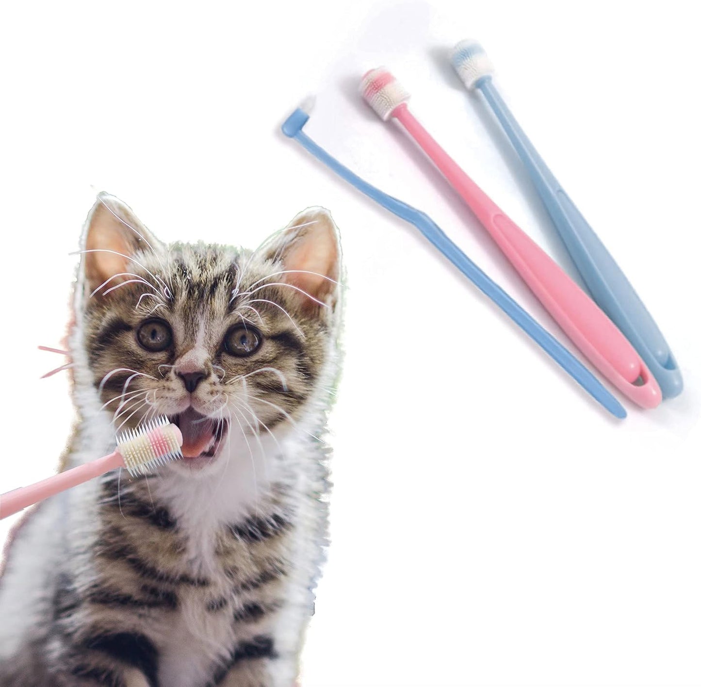 YMPEKA-3Pack-Small-Dog-Toothbrush-Cat-Tooth-Brush-Brushing-Kit-pet-Toothbrush-Cat-1062