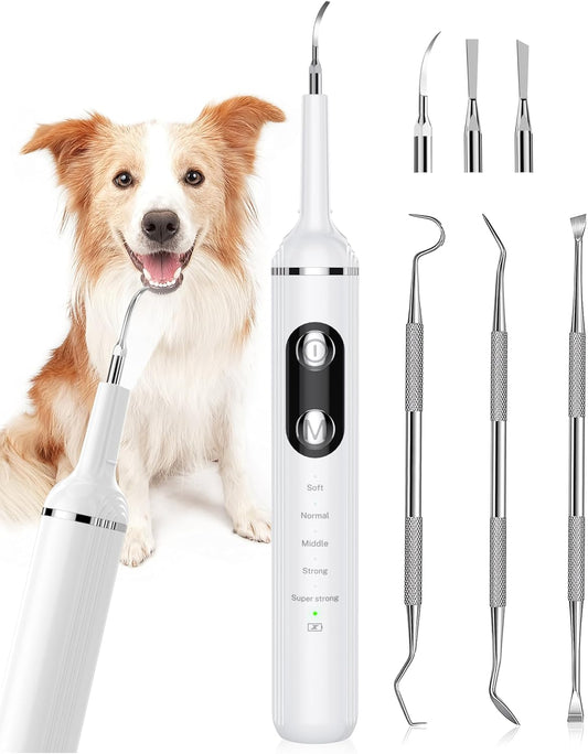 Plaque-Remover-for-Teeth,-Pet-Tooth-Brushing-Kit,-Dental-Tools-to-Plaque-35