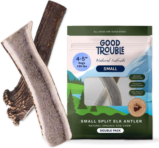 Good-Trouble-Premium-Elk-Antlers-for-Small-Dogs-–-2-Pack---540