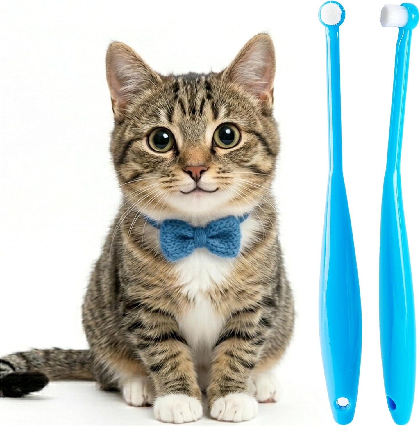 Cat-Toothbrush-Small-Dog-Puppy-Tooth-Brushing-Kit-Soft-Mini-Head-Teeth-Brush-322