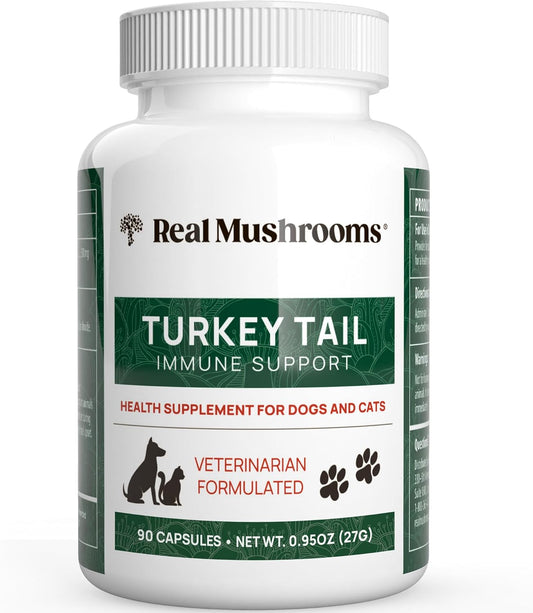 Real-Mushrooms-Turkey-Tail-Capsules-for-Pets-–Cat-Probiotics-&-Dog-–-447