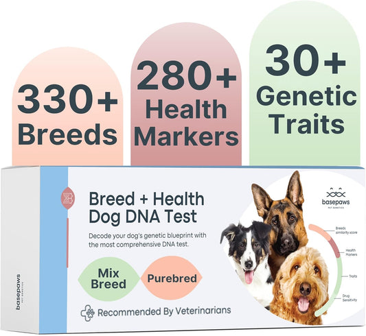 Basepaws-Dog-DNA-Testing-Kit---330+-Breeds,-280+-Health-Risks,-30+-288