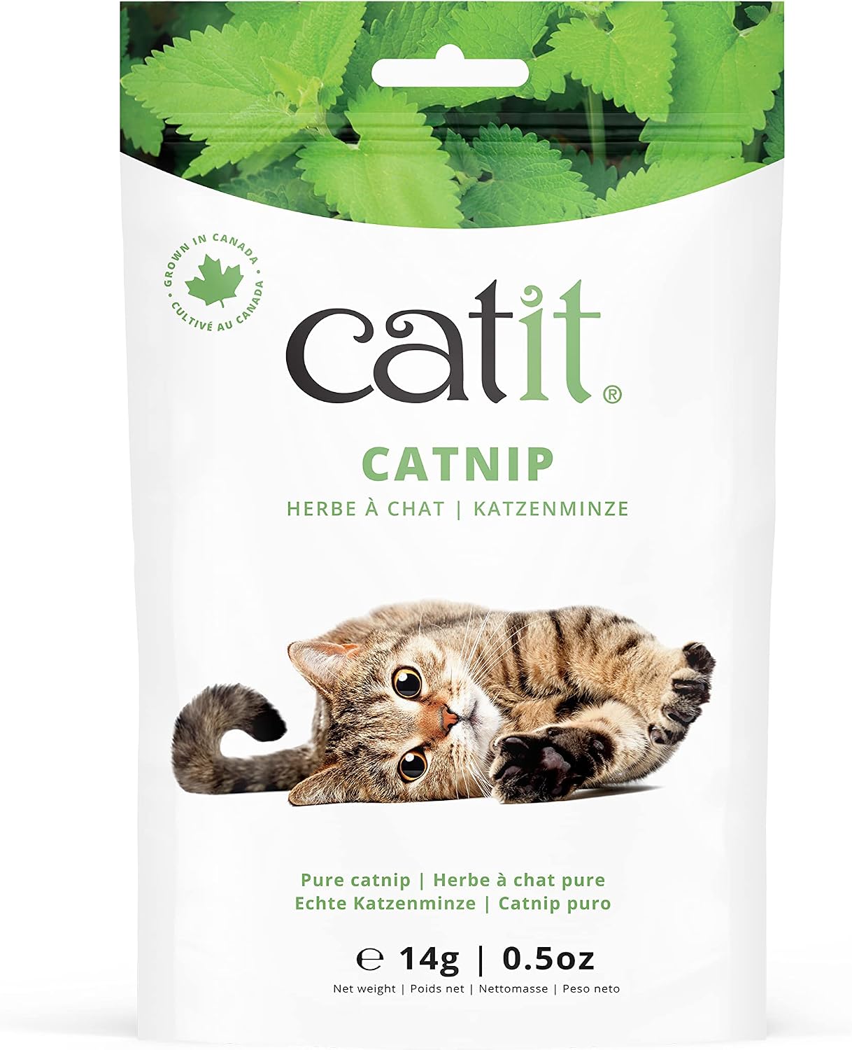 Catit-Dried-Catnip-for-Stimulating-Indoor-and-Outdoor-Cats,-0.5-oz.----59