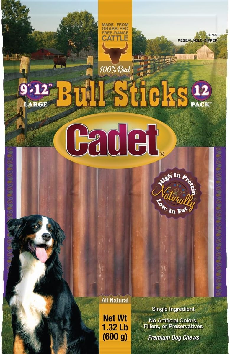 Cadet-9-12"-Bull-Sticks,-12-CountQ-------1689