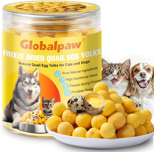 Premium-Freeze-Dried-Quail-Egg-Yolks---All-Natural-Snack-for-Cats-and-Dogs,-1-666
