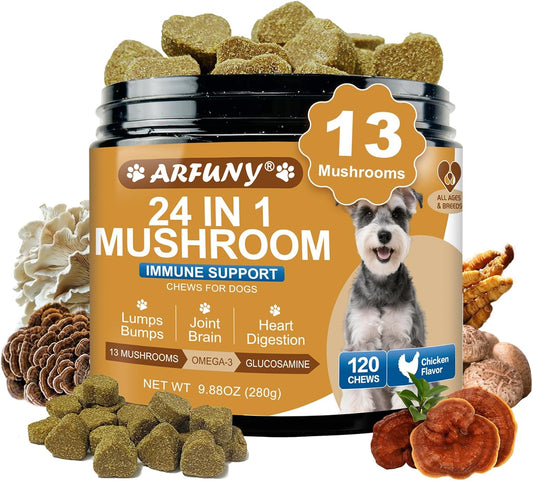 Mushrooms-for-Dogs---Turkey-Tail-Mushroom-for-Dogs---Gut,-Joint,-105