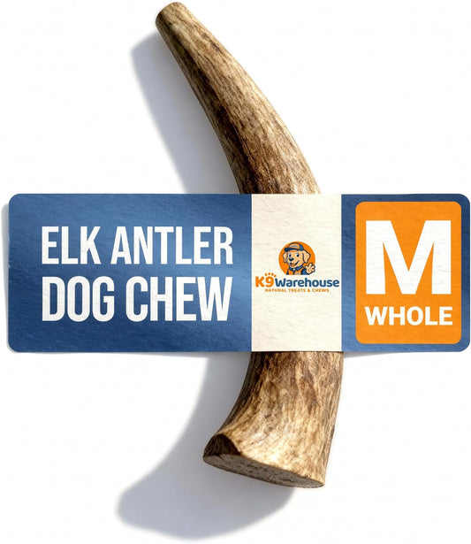K9warehouse-Natural-Elk-Antlers-for-Dogs---Premium-Grade-Long-Lasting-Dog-Chews-867