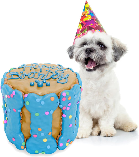 Dog-Birthday-Cake-for-Dogs-to-Eat---1759