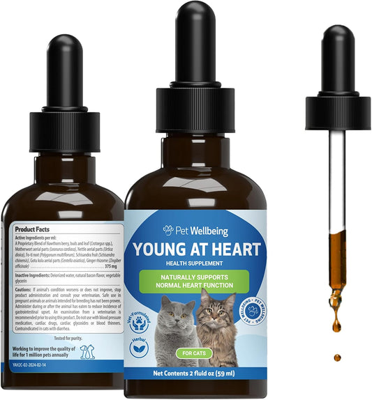 Pet-Wellbeing-Young-at-Heart-for-Senior-Cats---Heart-&-Circulation,-2-764