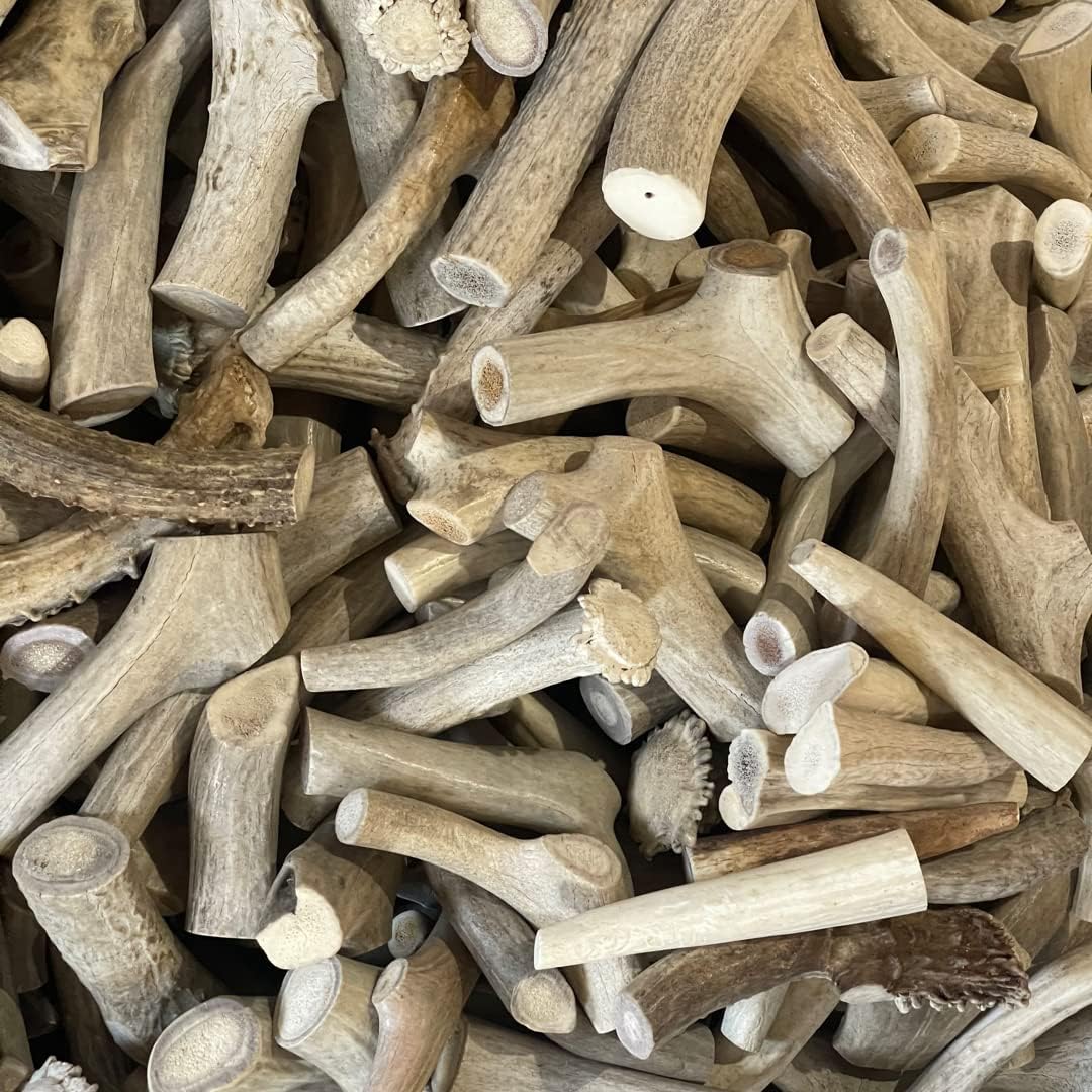 1-Pound-Bulk-Antlers---Economy-Grade---1925