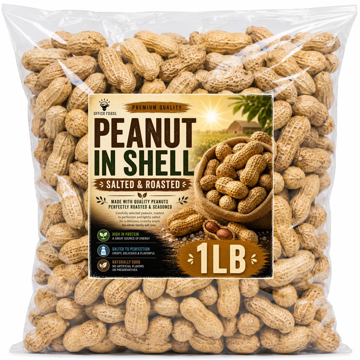 Peanuts-In-Shell-|-1-LB-Bulk-Value-Pack-|-Roasted--&-Salted---natural-827