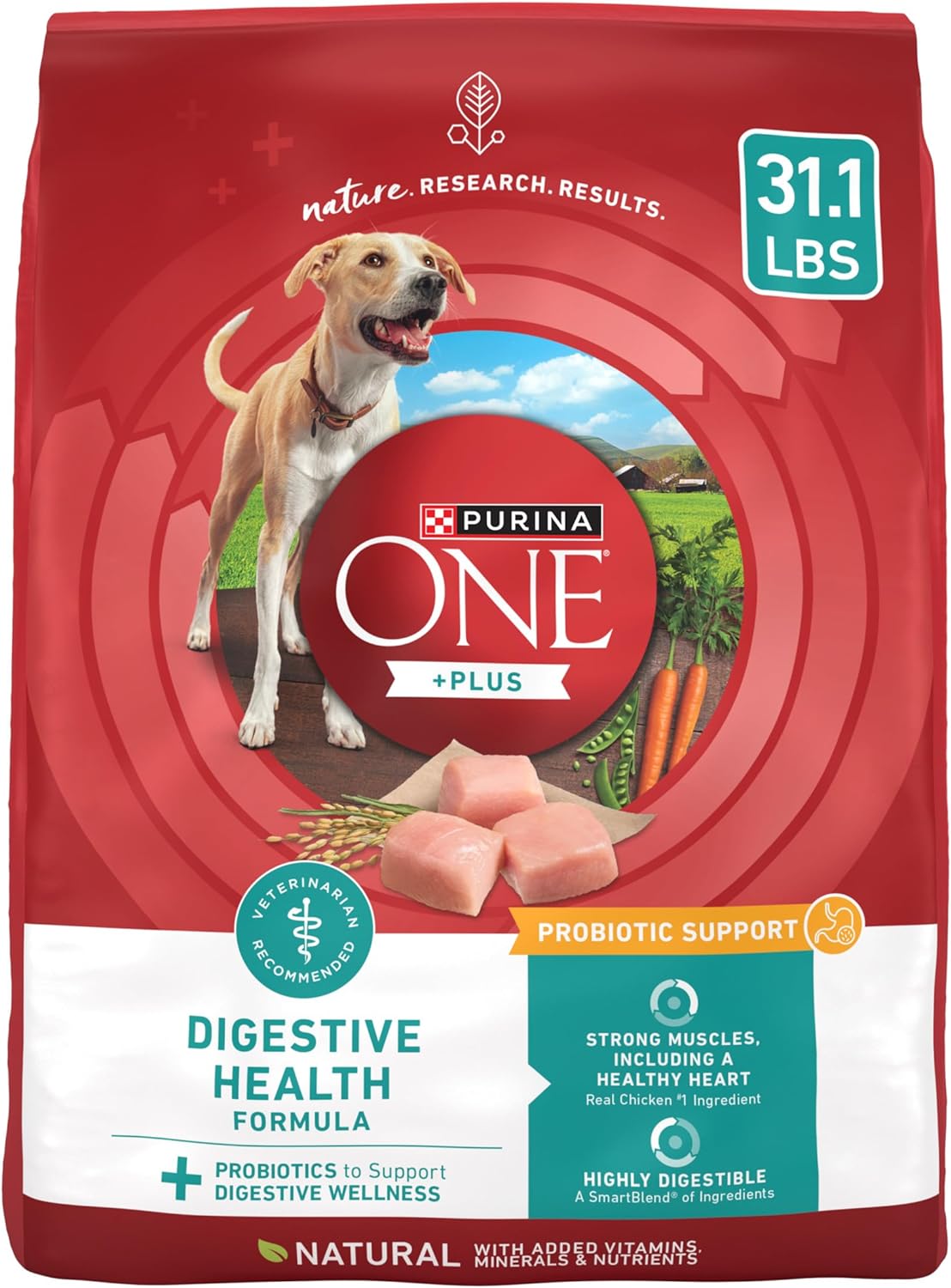 Purina-One-Plus-Digestive-Health-Formula-Dry-Dog-3508