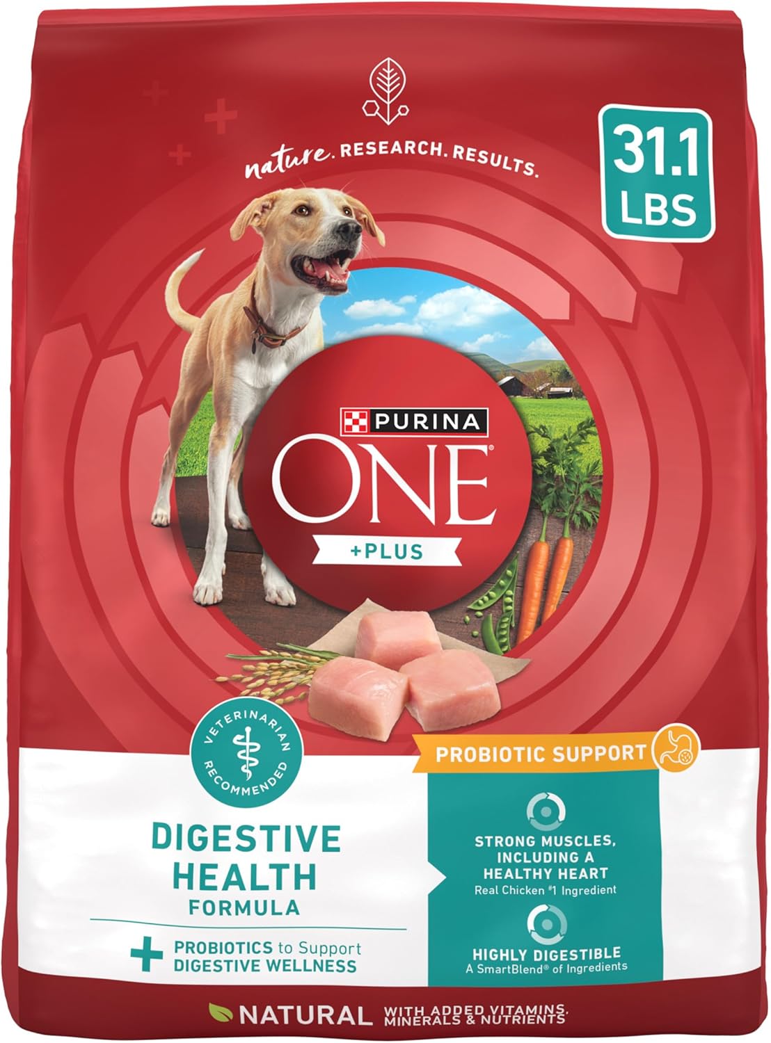 Purina-One-Plus-Digestive-Health-Formula-Dry-Dog-Food-Natural-with-Added-Vitamins,-2537