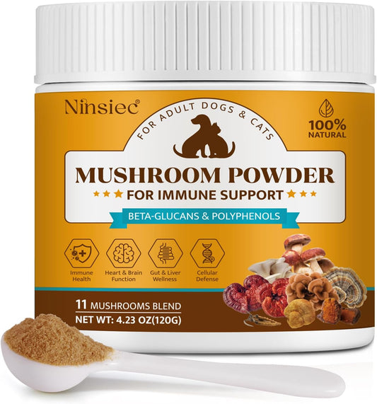 Mushroom-Supplement-Powder-for-Dogs-&-Cats,-Turkey-Tail-Mushroom-for-Lipoma-539