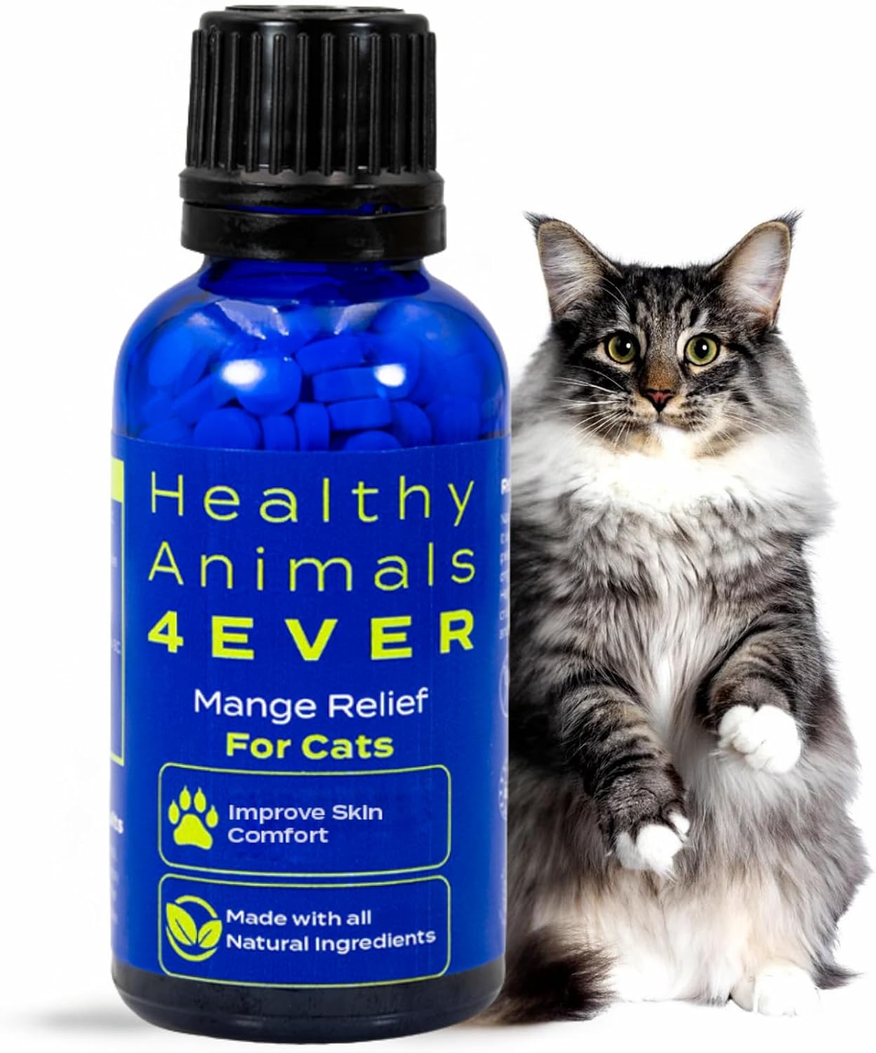 HA4E---Mange-Relief-for-Cats---Treatment-for-Itchiness,-Scabs,-&-Hair-957