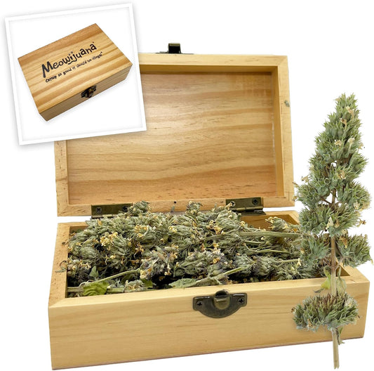 Meowijuana-|-Cigar-Box-|-Grand-Daddy-Purr-Catnip-Buds-|-Premium-Organic-Catnip-34