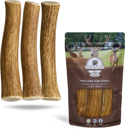 Whitetail-Naturals-Deer-Antler-Dog-Chews-(3-Pack-Medium)---Long-Naturally-2173