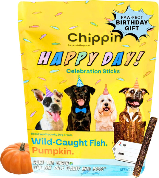 Chippin-Dog-Birthday-Treats,-Soft-Pumpkin-with-Fish-Protein,-Natural-Hypoallergenic-Bites-499