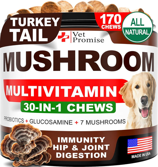 Turkey-Tail-Mushroom-for-Dogs---170-Chews---Mushroom-Supplement-Dogs-559