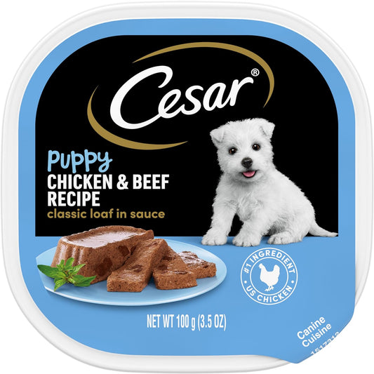 CESAR-Puppy-Wet-Dog-Food-Classic-Loaf-in-3311