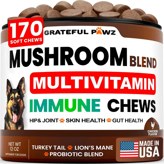 Turkey-Tail-Mushroom-Supplement-for-Dogs---170-Chews---Mushrooms-Dogs-209