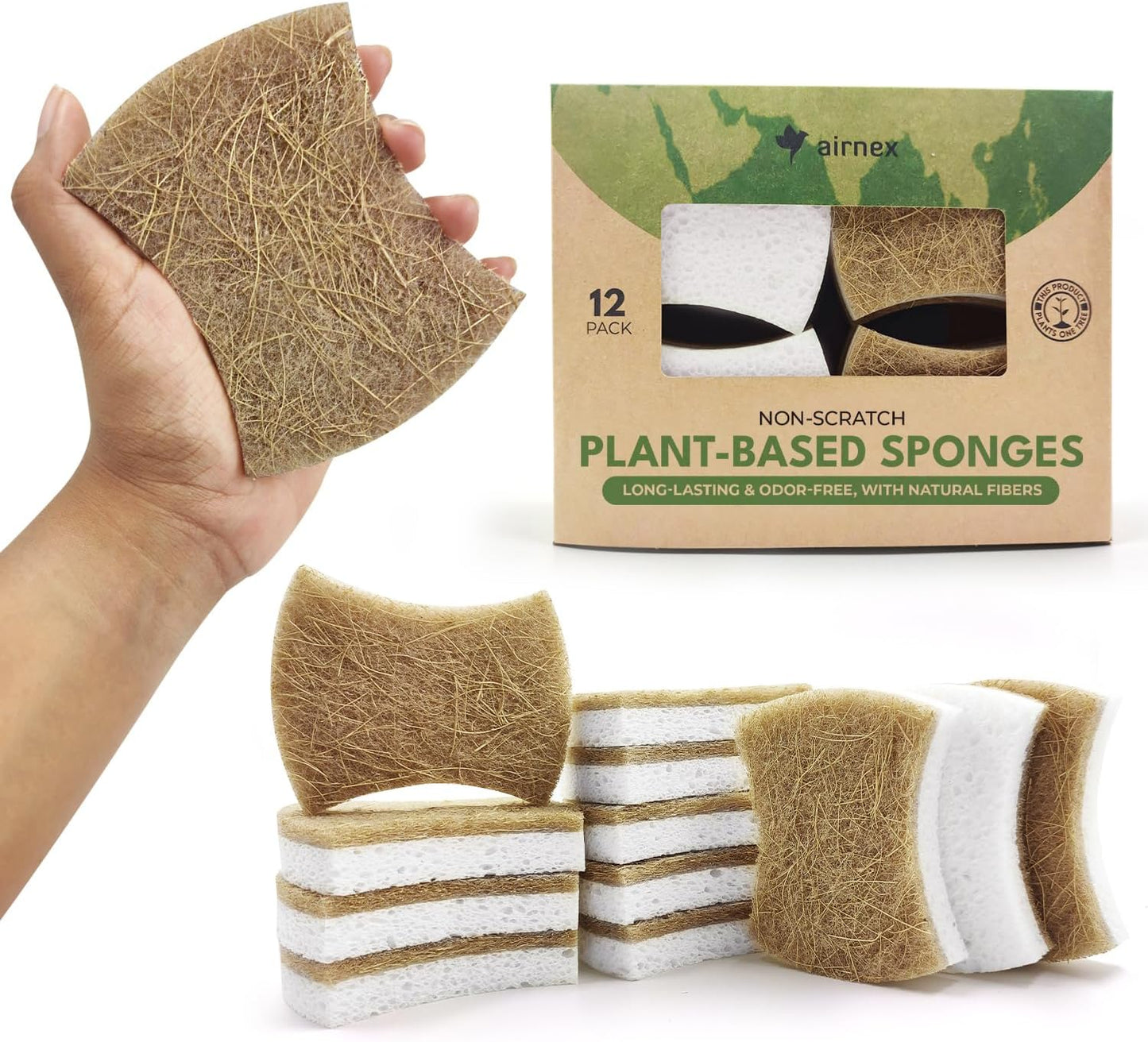 Biodegradable-Natural-Dish-Sponges-Kitchen-Pack-of-12---Coconut-1915