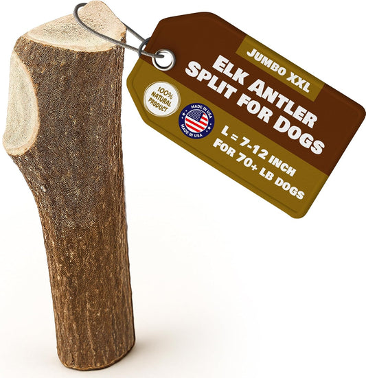 Jumbo-Elk-Antler-Split-for-Dogs-–XXL-G-Natural-Premium-Grade-Antler-169