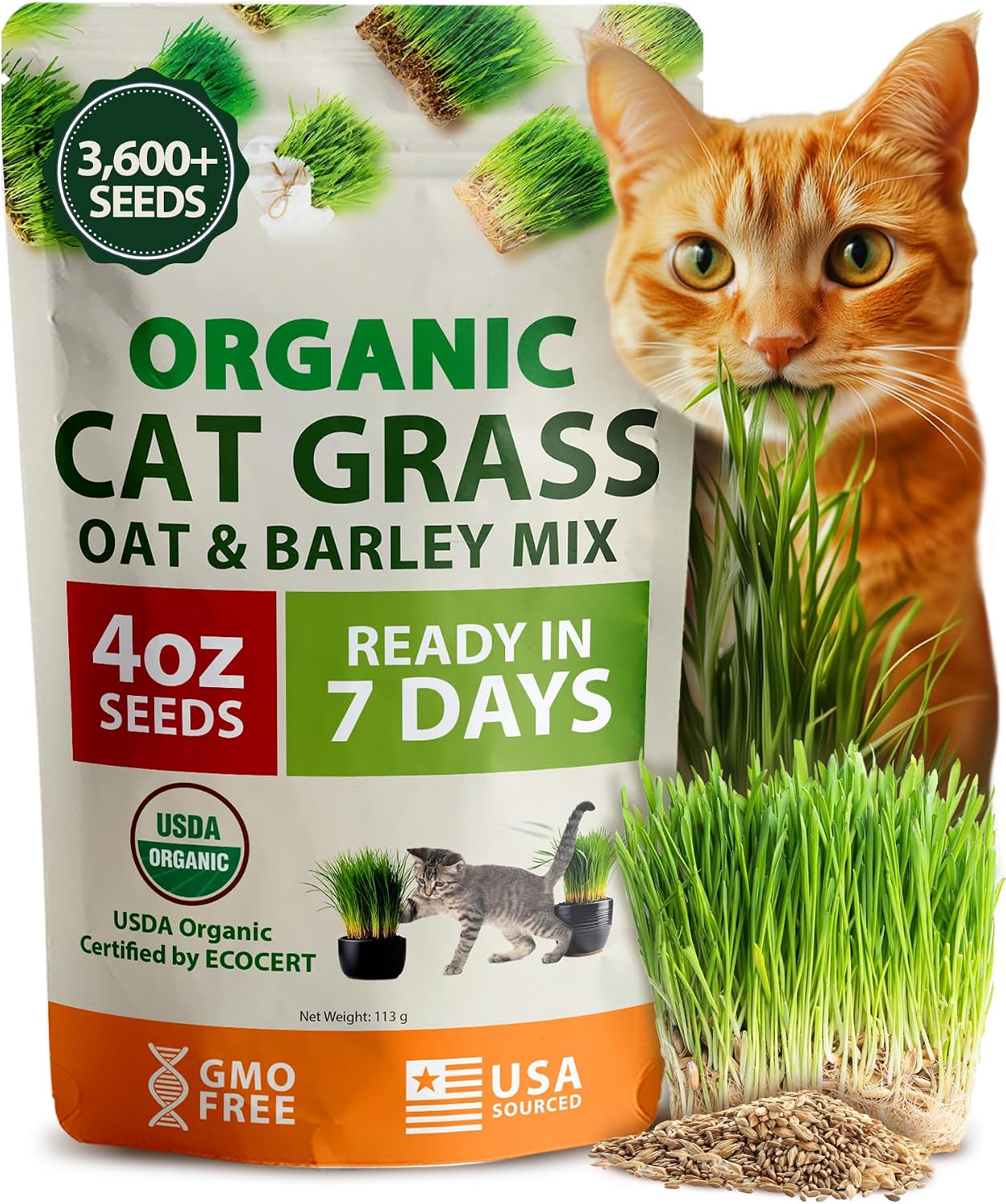 HOME-GROWN-Organic-Cat-Grass-Seed-Mix-(Oat-&-Barley)-–-4-oz-–-1295