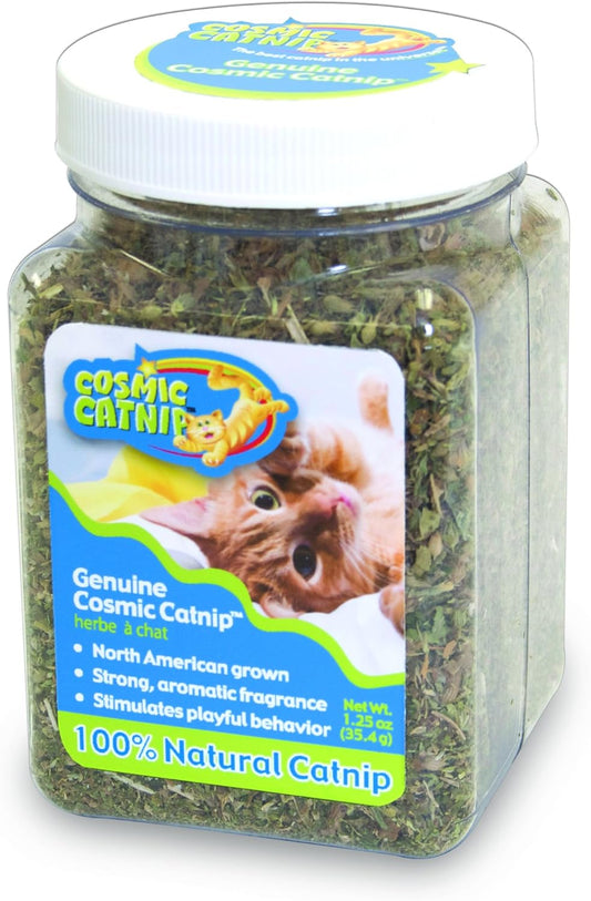 OurPet's-Premium-Catnip---1.25-oz-Jar-of-High-Potency-Catnip---1-North-422