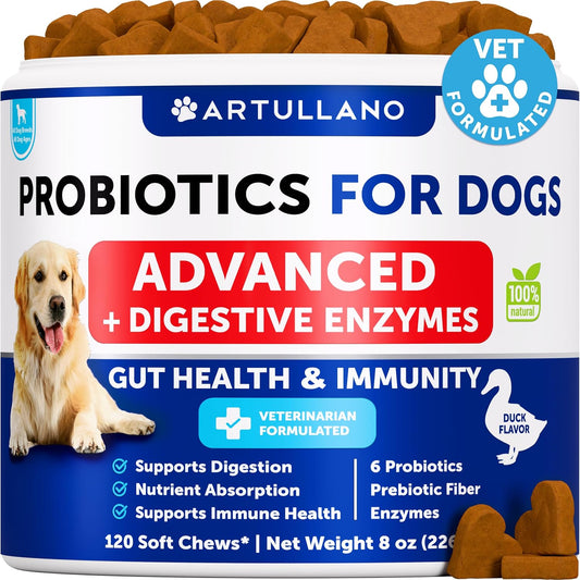 Probiotics-for-Dogs---Support-Gut-Health,-Itchy-Skin,-Allergies,-Immunity,-Balance-515