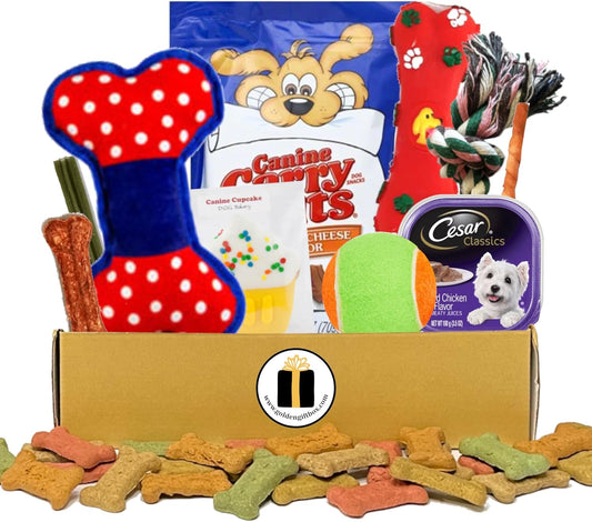 Dog-Gift-Box-with-Treats-and-Toys-–-165