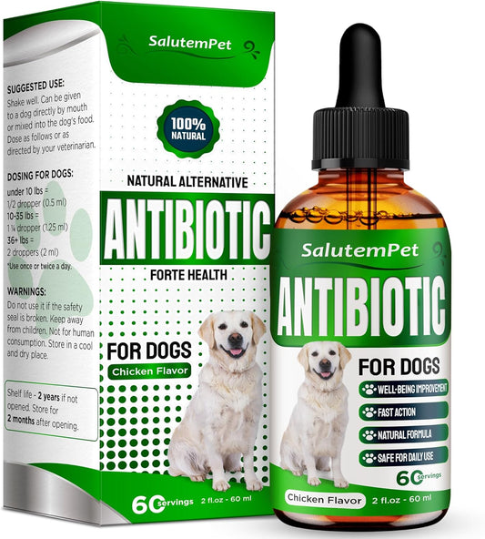 Dog-Antibiotics-for-Infections,-Cough,-&-Itching-|-Natural-Antibiotics-for-for-481