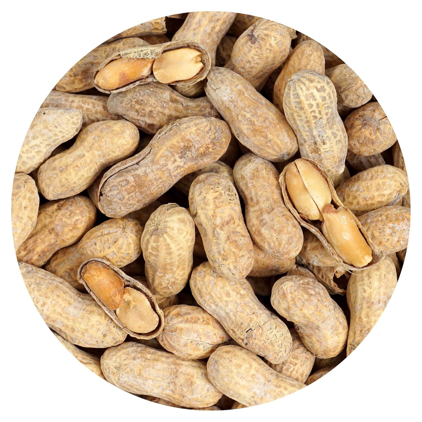 Peanuts-In-Shell-Roasted-and-Salted,-2-Pound-Bag,-The-Hampton-Popcorn-Candy---1989