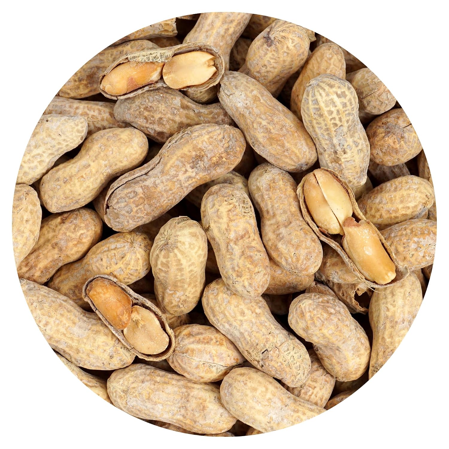 Peanuts-In-Shell-Roasted-and-Salted,-2-Pound-Bag,-The-Hampton--Popcorn-&-Candy--1222