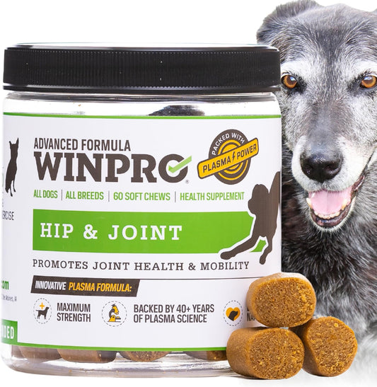 WINPRO-Hip-&-Joint-Supplement-for-Dogs---Plasma-Powered-Soft-for-536